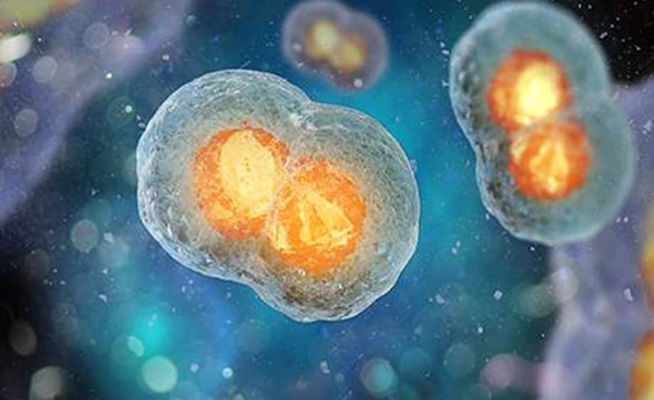 (PGT-M) Præimplantation genetisk test for monogenetisk sygdom