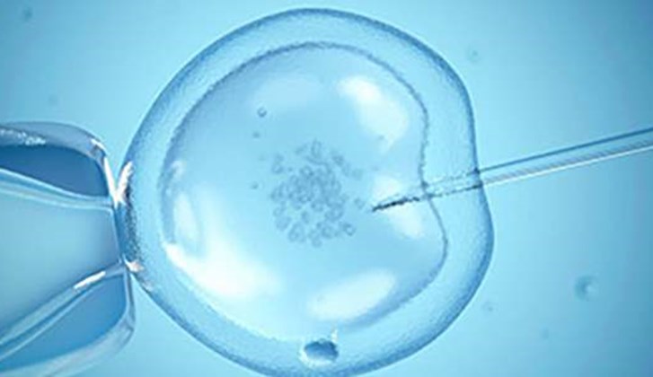 Comparing Natural IVF to conventional IVF