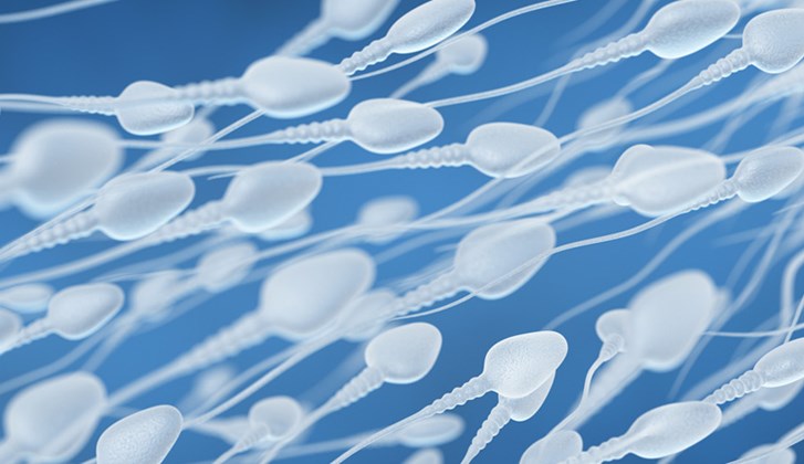 En av fyra danska män har en spermakvalitet som inte är på topp